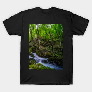 River through the forest T-Shirt